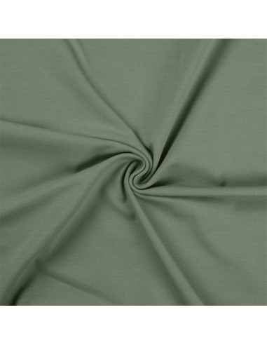 Cotton jersey fabric - Mint
