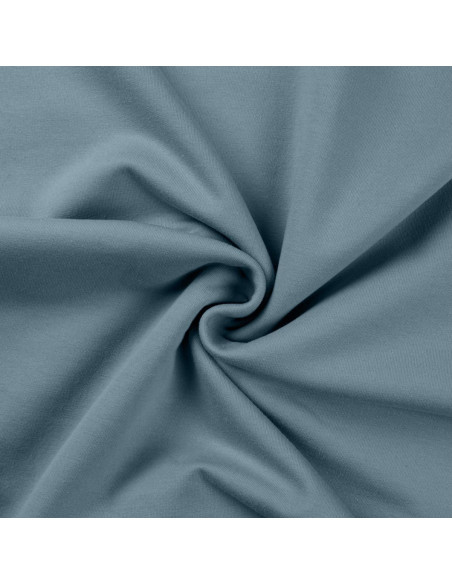 Sweatshirt fabric - Blue gray