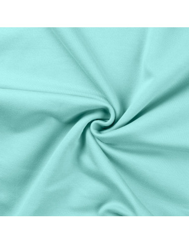 Sweatshirt fabric - Aqua green