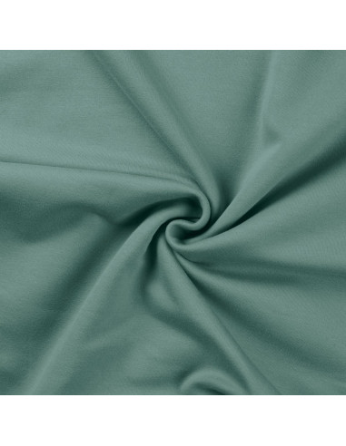 Sweatshirt fabric - Verdigris