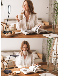 2-in-1 Light Therapy and Desk Lamp TriSun Daylight 2