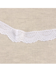 Scalloped elastic lace - White