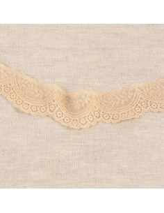 Scalloped elastic lace - Beige