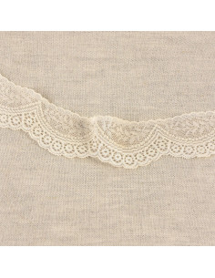 Scalloped elastic lace - Ecru