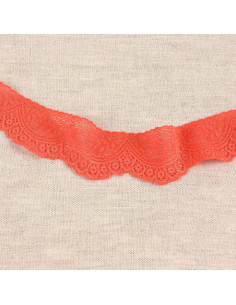 Scalloped elastic lace - Bengal