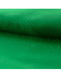 Organza fabric - Green