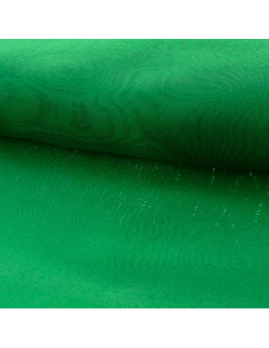 Organza fabric - Green
