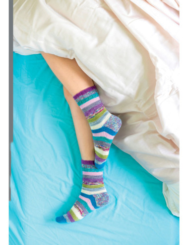 The Knitting Bible of Socks Book