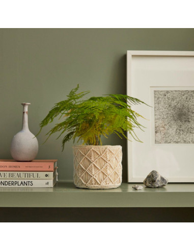 Macramé Kit - Bohemian Plant Pot Cover Kit