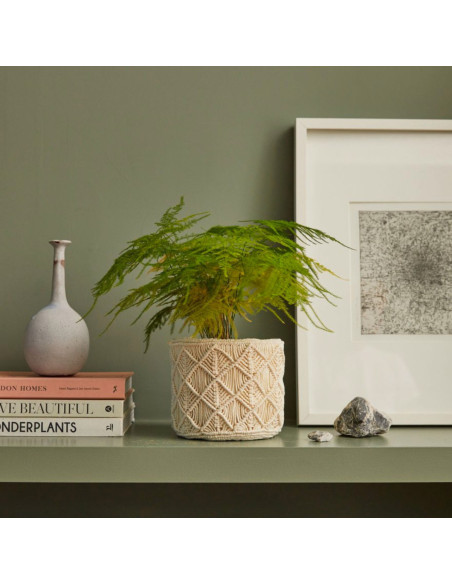 Macramé Kit - Bohemian Plant Pot Cover Kit