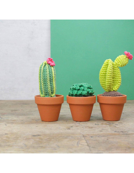 Crochet Kit - Cactus