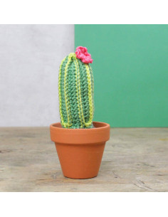 Crochet Kit - Cactus 2