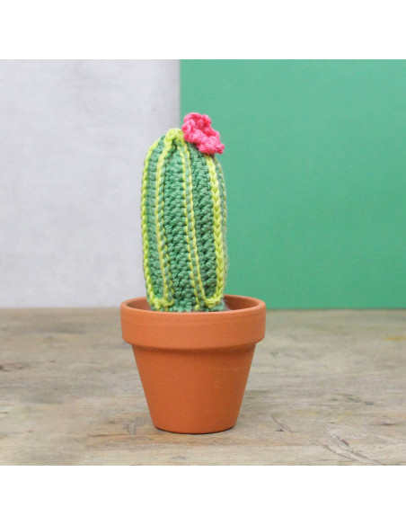 Crochet Kit - Cactus