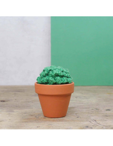 Crochet Kit - Cactus
