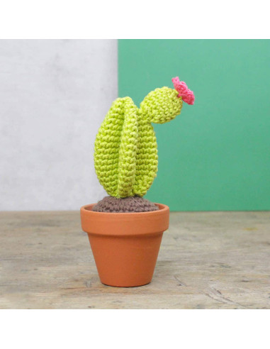 Crochet Kit - Cactus