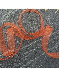 Organza ribbon - Orange