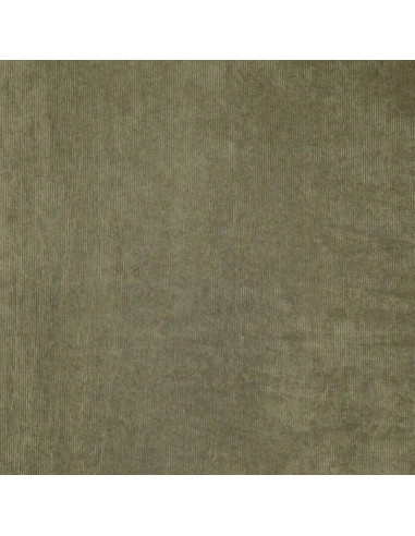 Corduroy fabric - Khaki