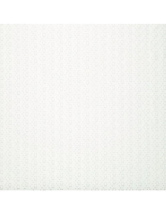 Stretchable English embroidery fabric - Ecru 2