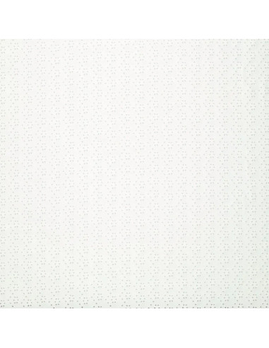 Stretchable English embroidery fabric - Ecru