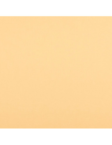Plain cretonne cotton fabric - Sand