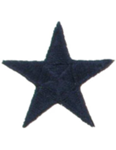 Iron-on patch marine star