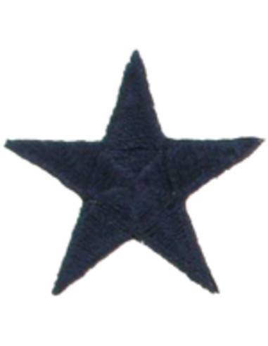 Iron-on patch marine star