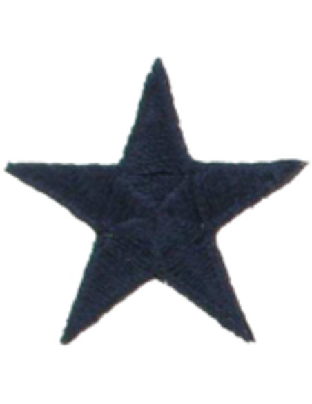 Iron-on patch marine star