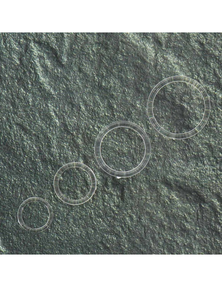 Transparent ring for bra