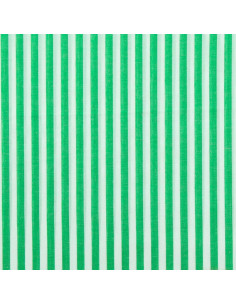 Cotton poplin fabric - Wide stripes - Green 2