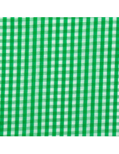 Cotton poplin fabric - Large Vichy checks - Green 2
