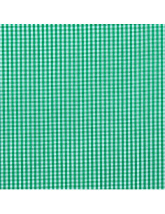 Cotton poplin fabric - Small gingham checks - Green 2
