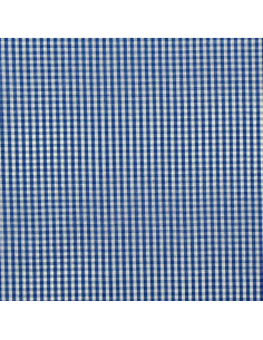 Cotton poplin fabric - Small checkered Vichy - Blue 2