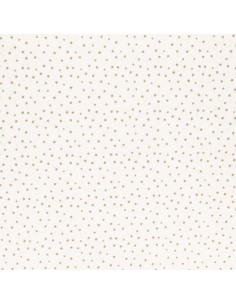 Fancy cotton poplin fabric - Pebble star 2