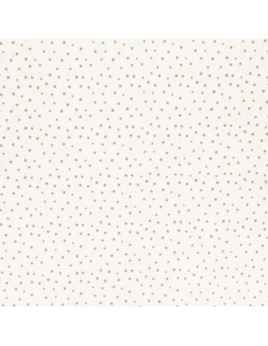 Fancy cotton poplin fabric - Pebble star