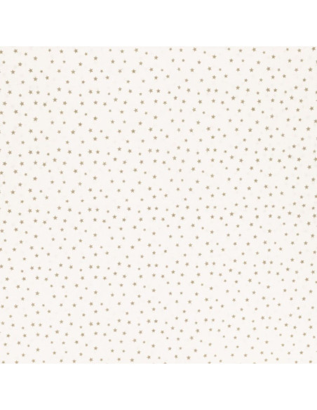 Fancy cotton poplin fabric - Pebble star