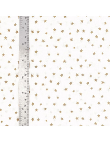 Fancy cotton poplin fabric - Pebble star