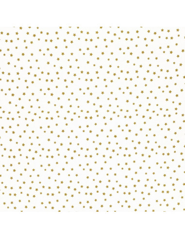 Fancy cotton poplin fabric - Curry star
