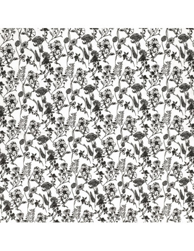 Fancy cotton poplin fabric - Nadine black