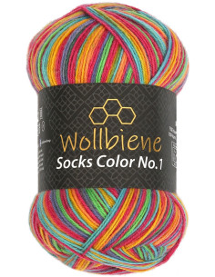 Socks Color Wollbiene sock yarn