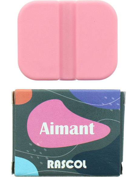 Magnet for pins