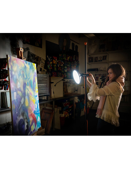 Daylight Artist Studio Lamp 2