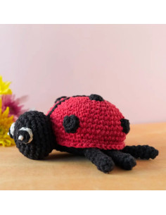 Crochet Kit - Daisy the Ladybug