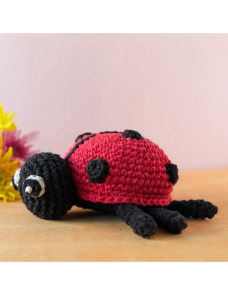 Crochet Kit - Daisy the Ladybug