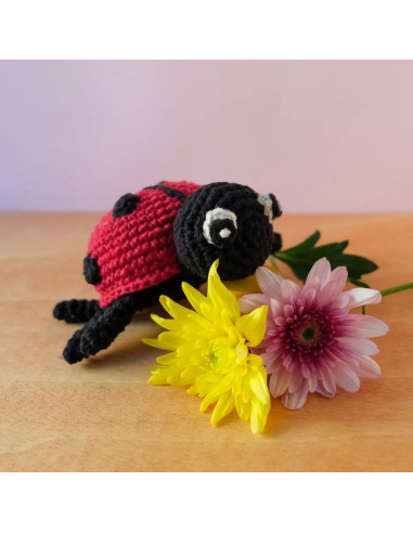 Crochet Kit - Daisy the Ladybug