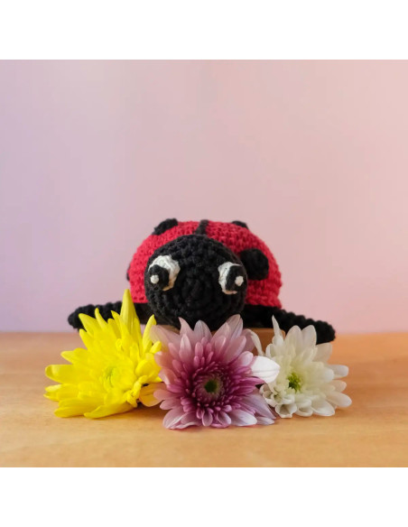 Crochet Kit - Daisy the Ladybug