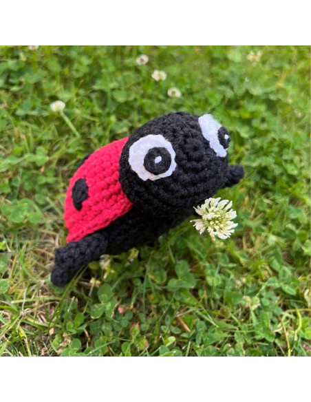 Crochet Kit - Daisy the Ladybug