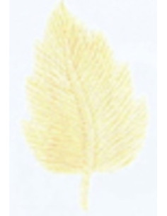 Iron-on patch off-white leaf