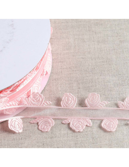 Ribbon and Roses - Rose