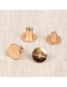 8 sets of Chicago screws 10 mm x 6 mm - Gold