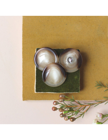 27 mm shiny finish shell button
